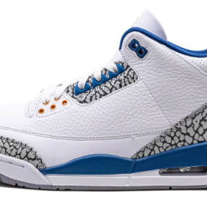 Air Jordan 3 "Wizards"